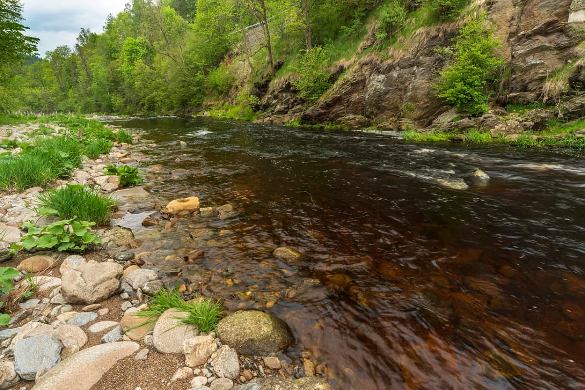 Přírodní wellness